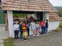 3a620583-b34e-4d65-8db5-a11216185cba