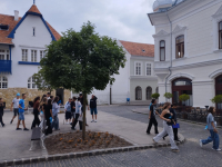 412fc2d3-36c9-42f3-b92f-8399bf715a2e